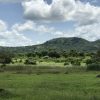 Nimule park