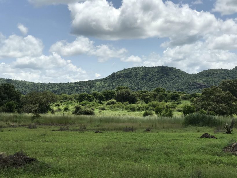 Nimule park